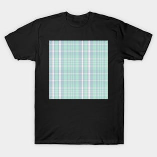 Pastel Aesthetic Sorcha 1 Hand Drawn Textured Plaid Pattern T-Shirt